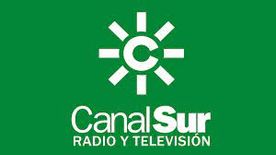 logo de canal sur
